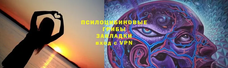 Галлюциногенные грибы Magic Shrooms  Благодарный 